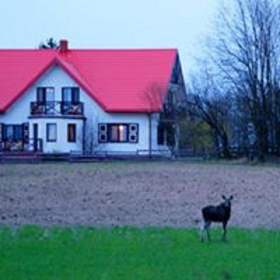 Losiowy Kat Goniądz Buitenkant foto